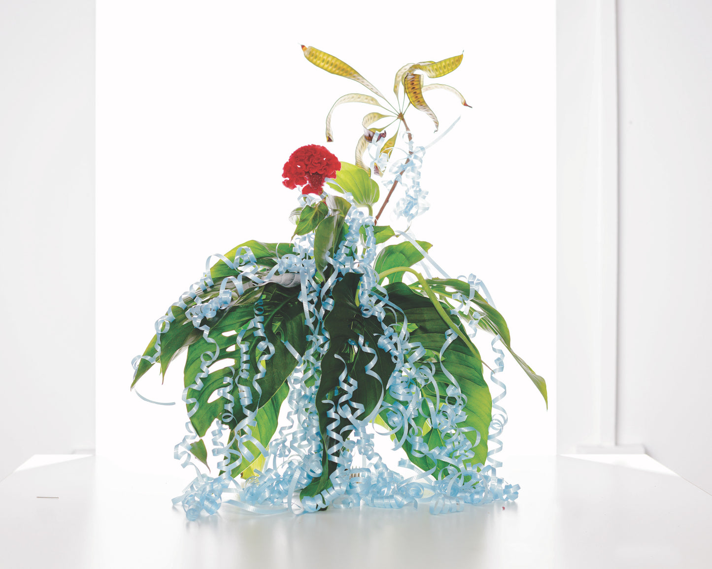 Untitled III, 2025 Limited Edition Print