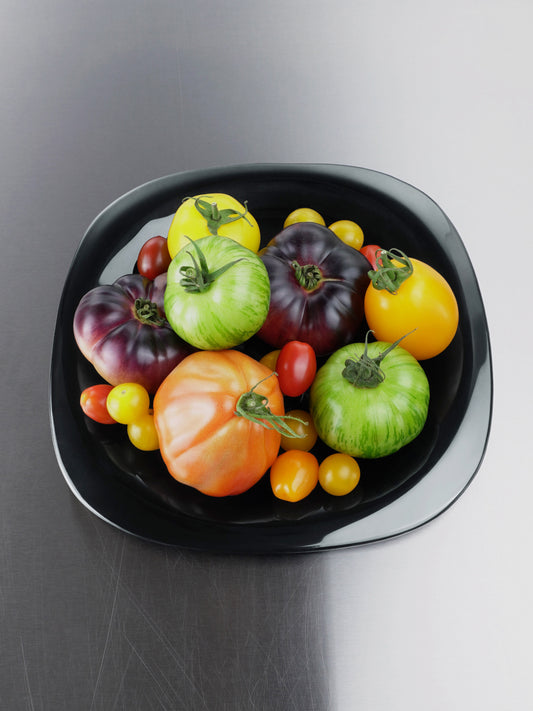 Melt Dinner Plate - Liquorice