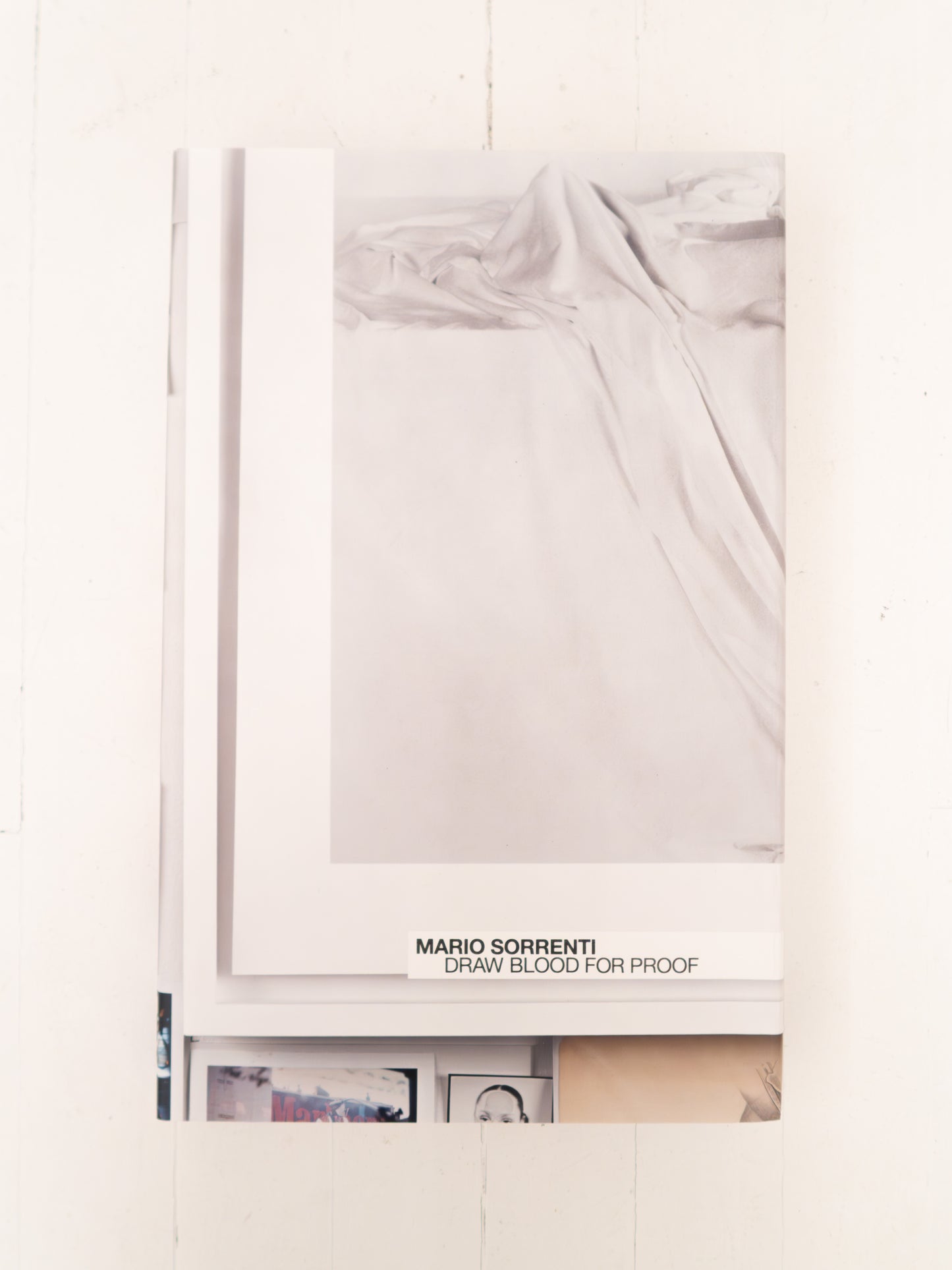 Draw Blood for Proof - Mario Sorrenti, Steidl, 2013