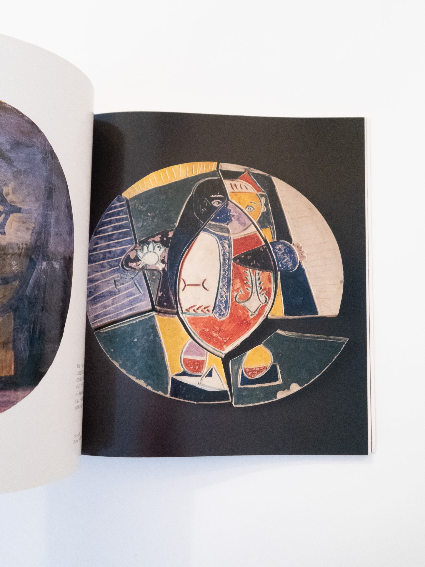 Picasso Ceramic - Fuji Television Gallery, 1981