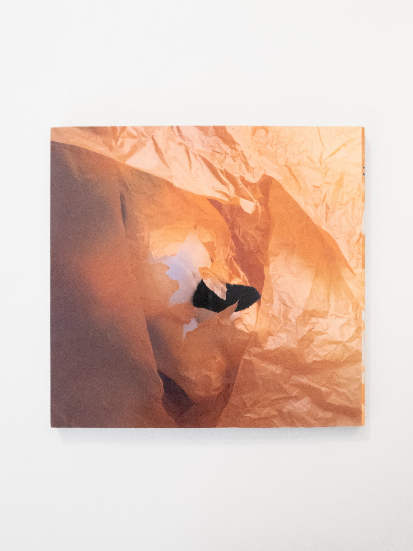 Snoopy in Fashion - Chronicle Books, 1988