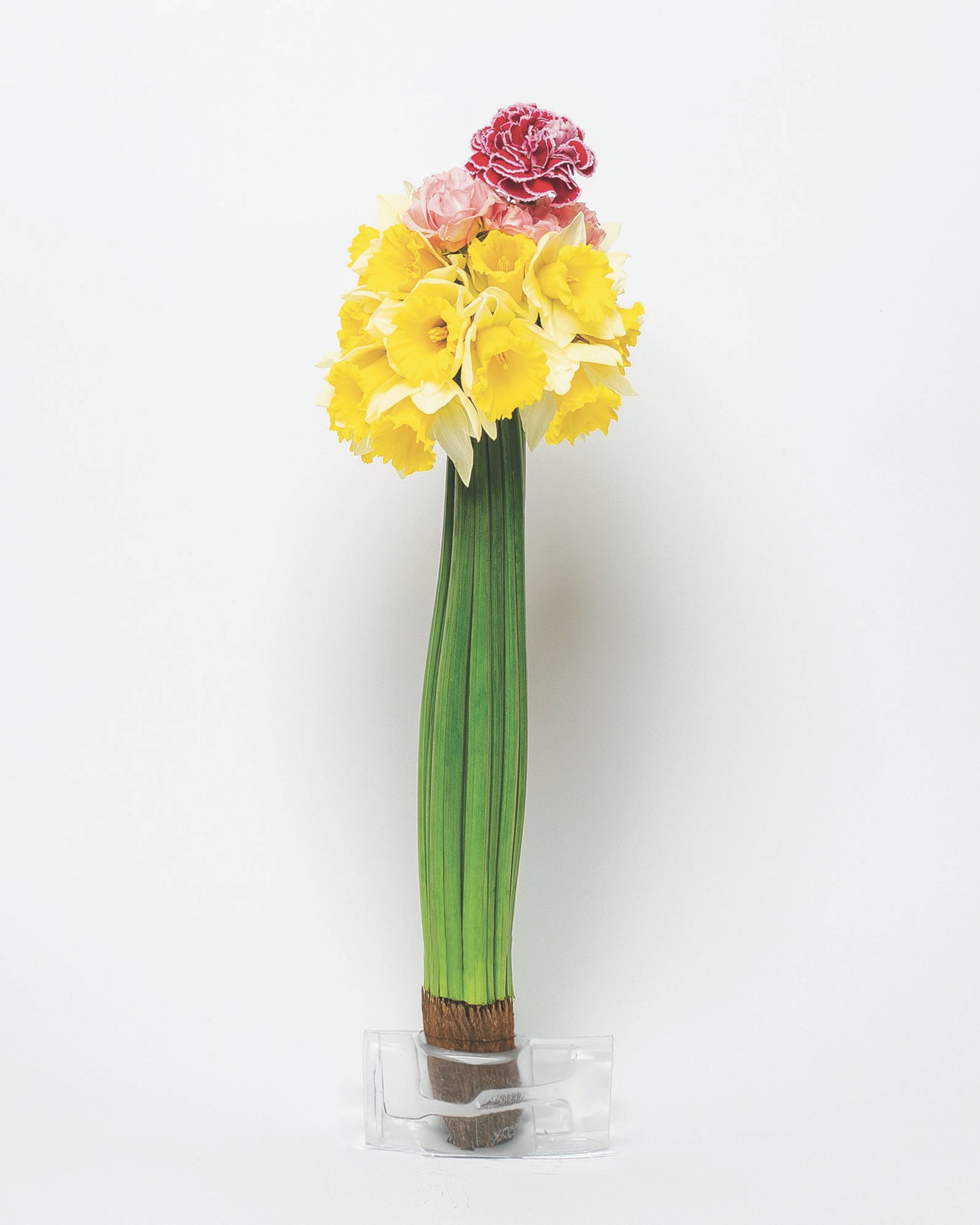 Untitled I, 2025 Limited Edition Print