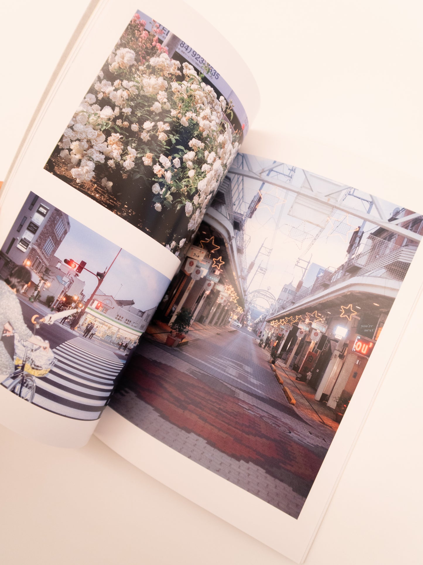 City of Roses - Sly Morikawa