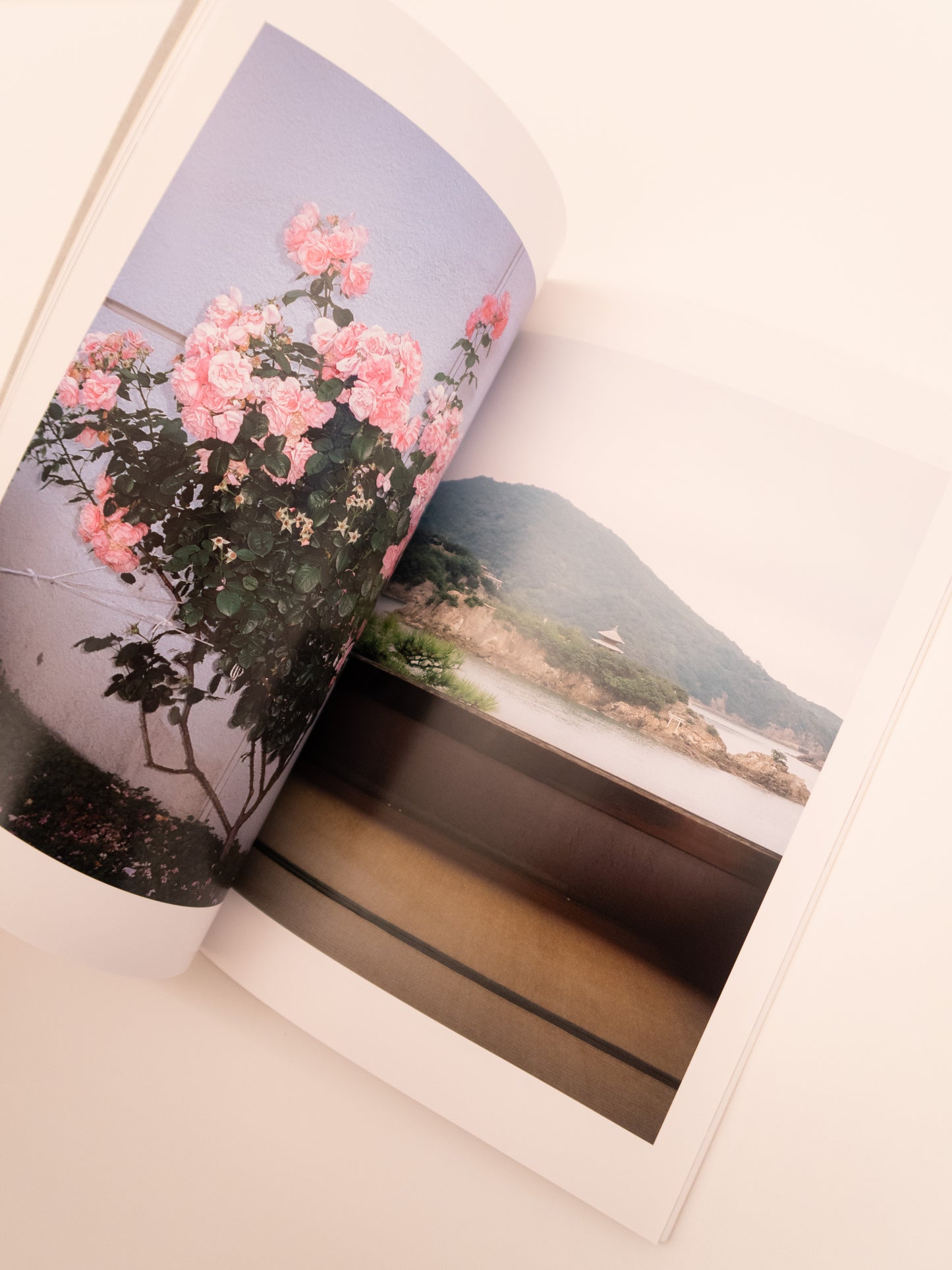City of Roses - Sly Morikawa