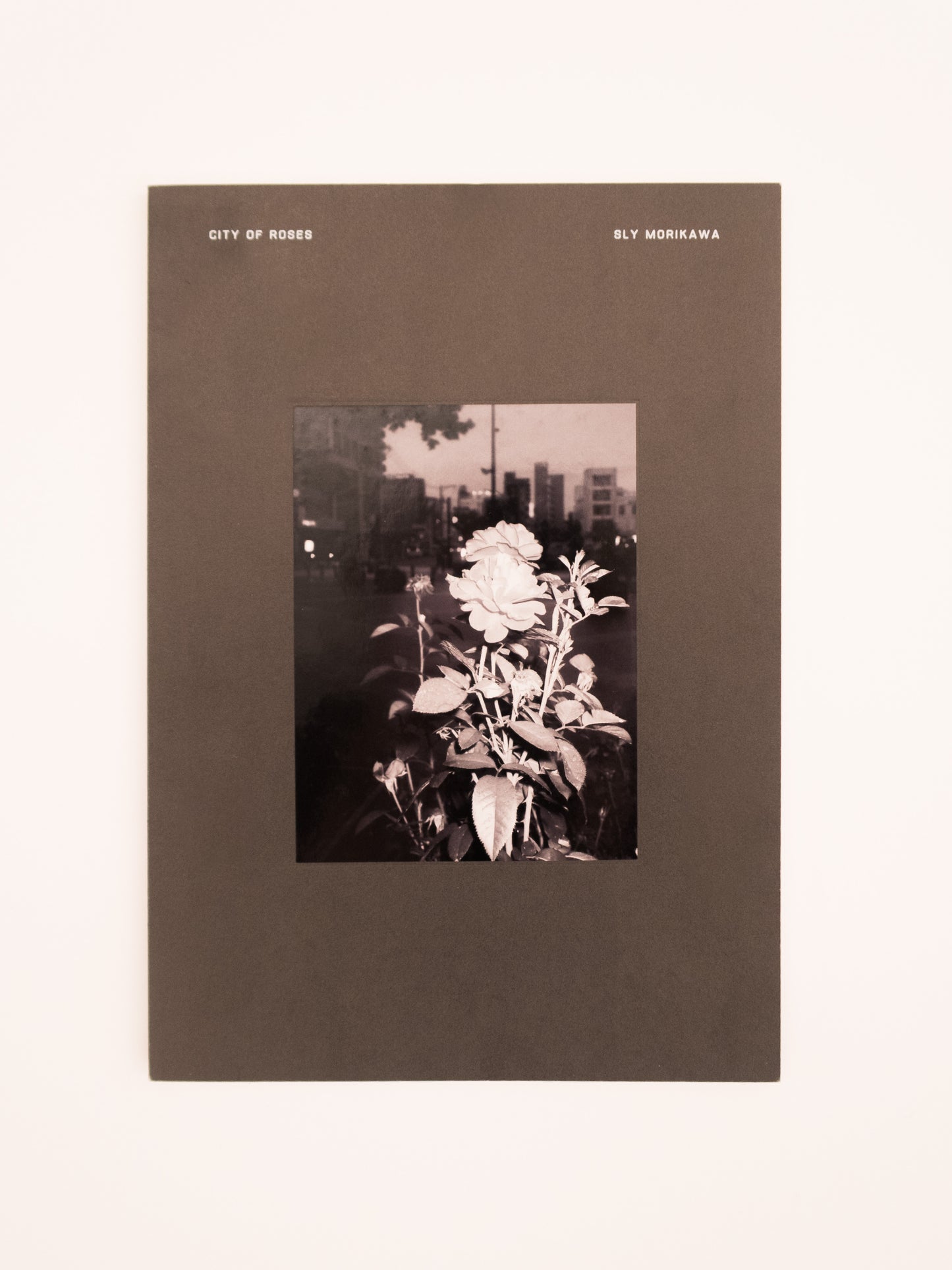 City of Roses - Sly Morikawa
