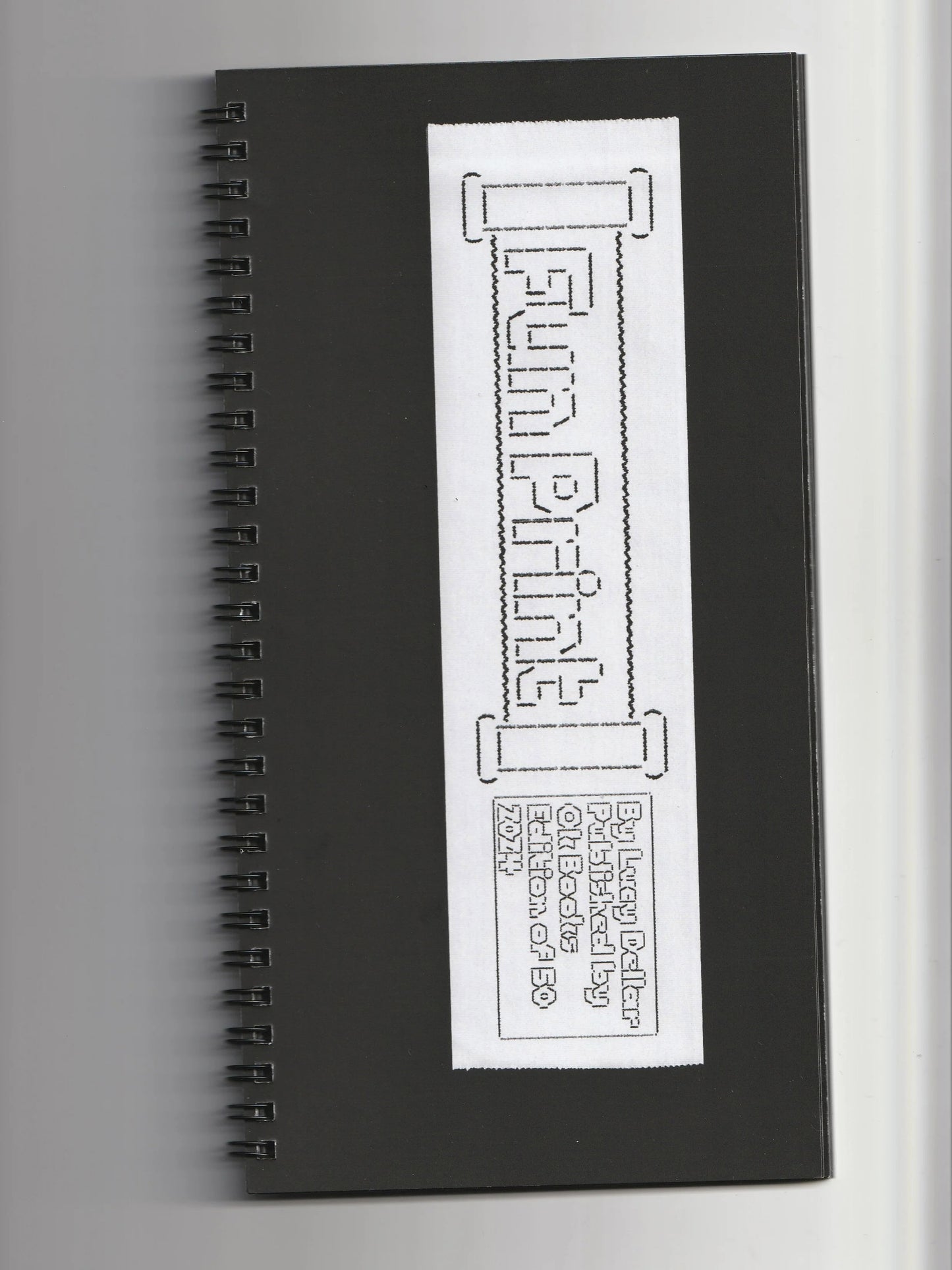 Fun Print - Lucy Dellar