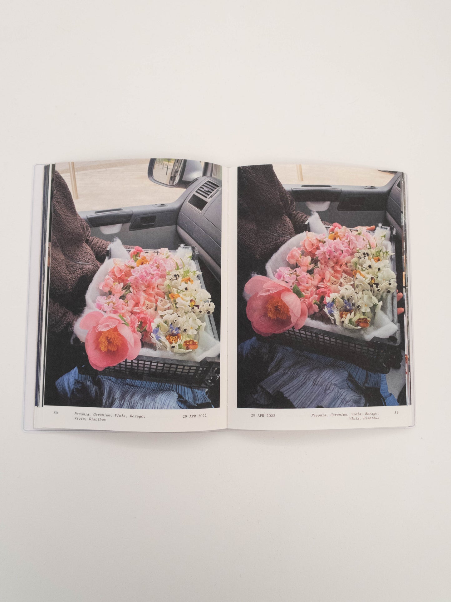 FLOWERS IN THE FRONT SEAT - Simone Gooch