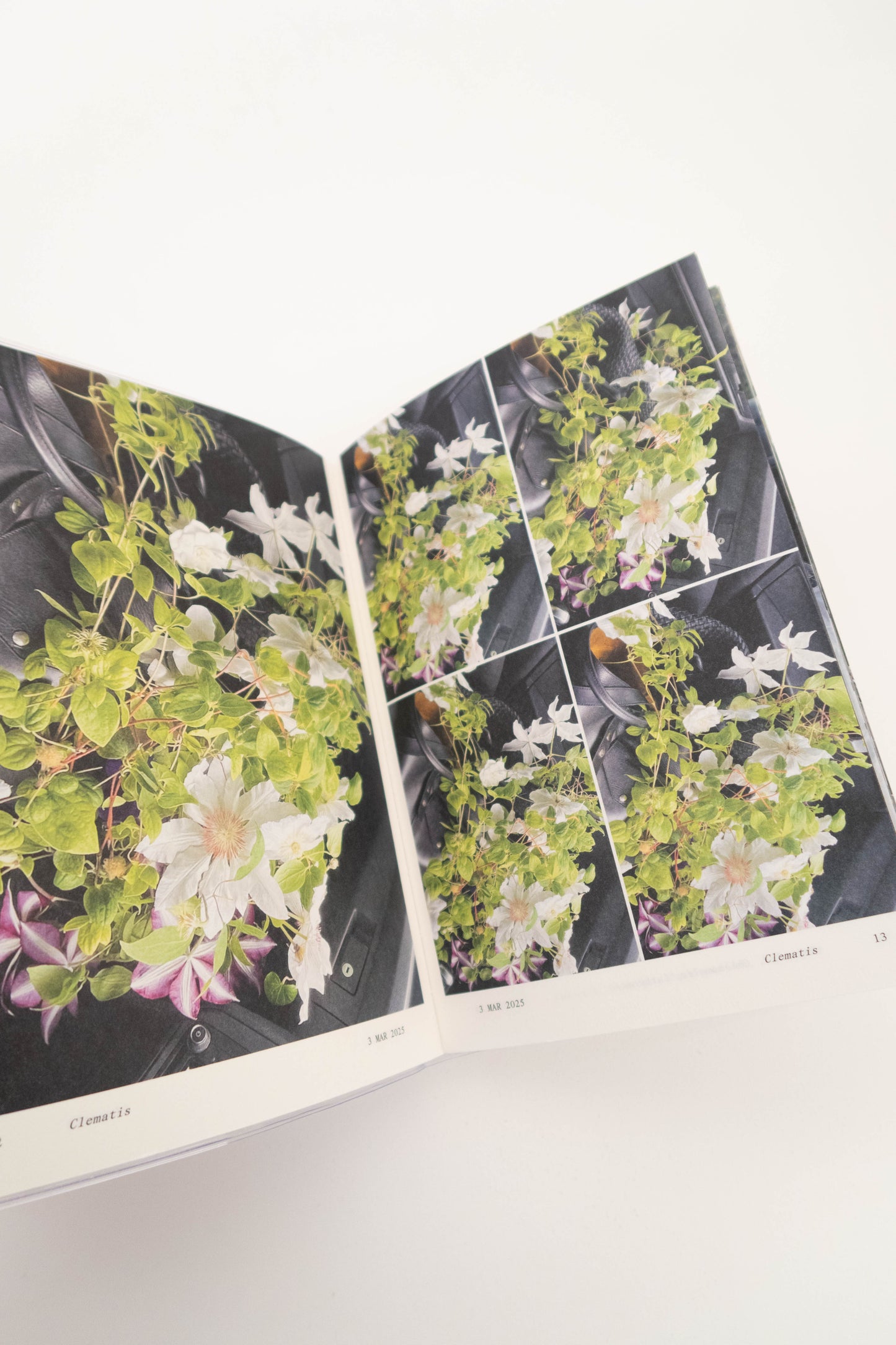 FLOWERS IN THE FRONT SEAT - Simone Gooch