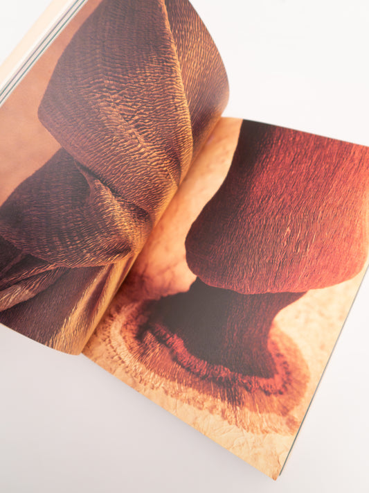 Koromo: Jürgen Lehl's Fabrics, Treville, 1997