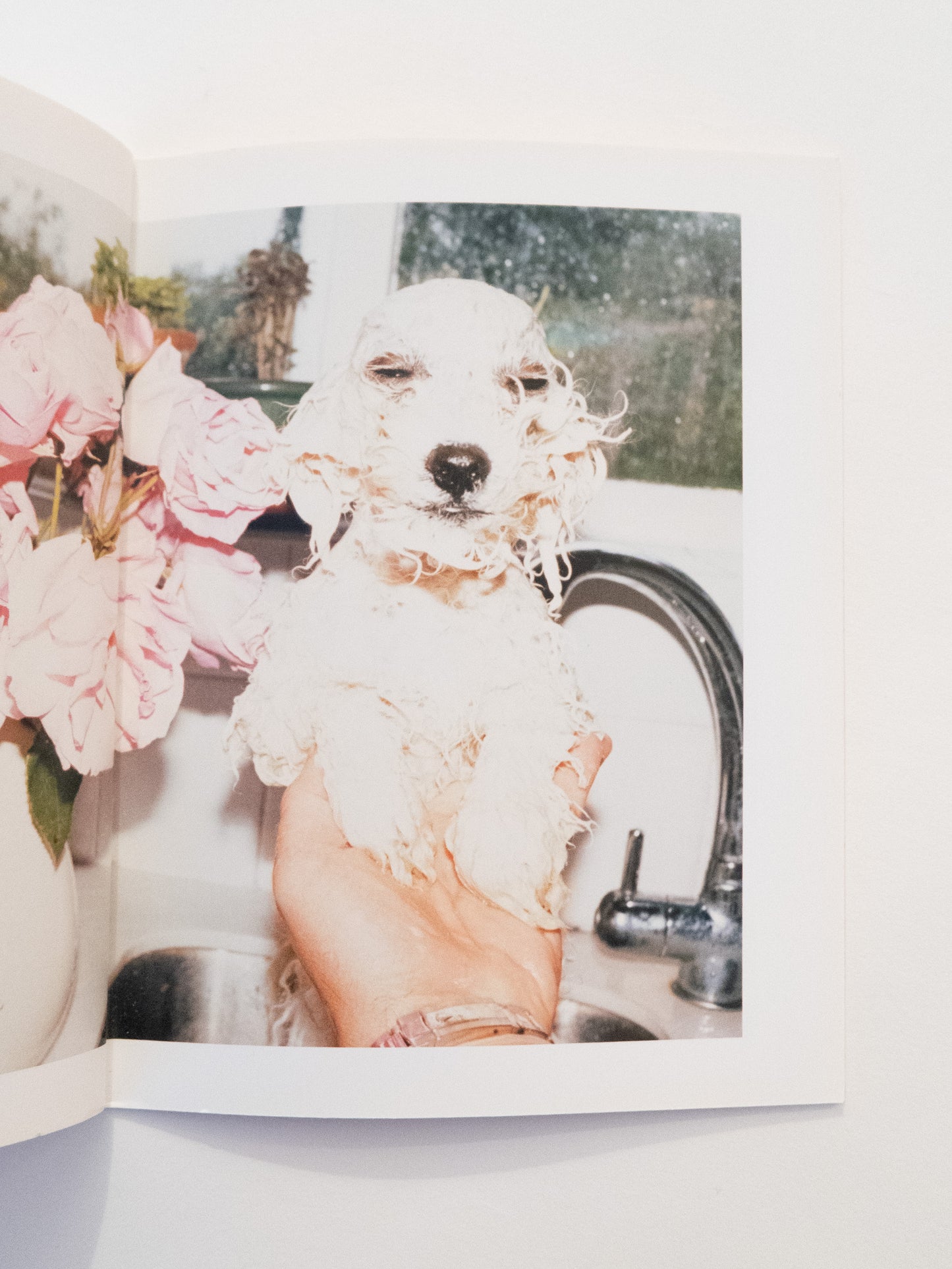 The Master III - Jurgen Teller, 2012