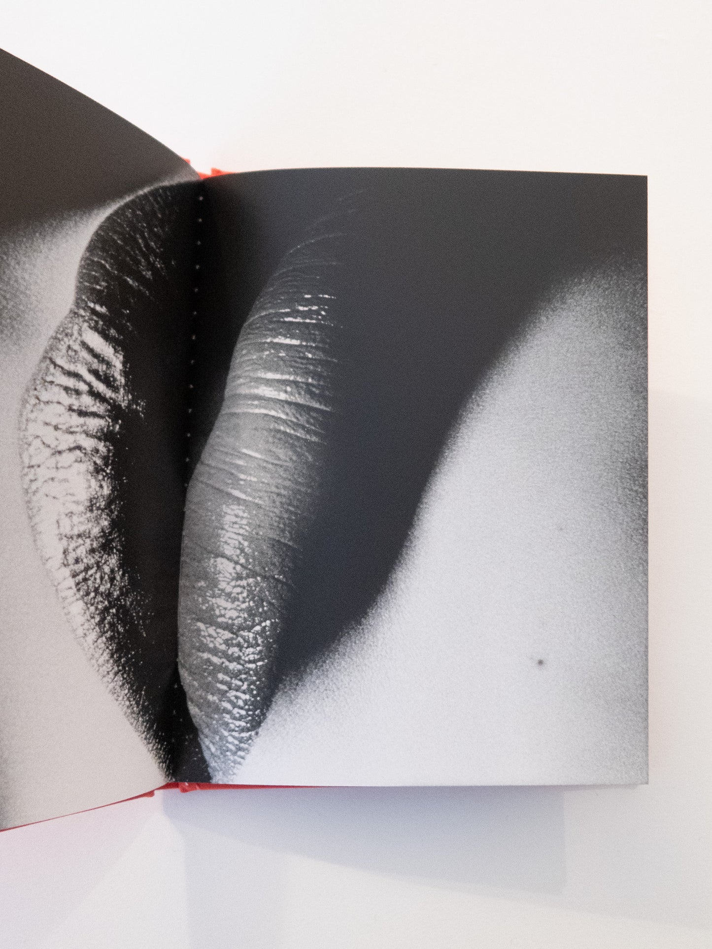 (Signed) Kuchibiru - Daido Moriyama, Nazraeli Press, 2006