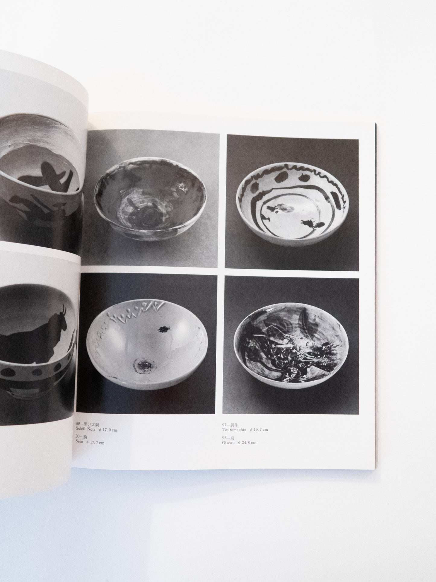 Picasso Ceramic - Fuji Television Gallery, 1981