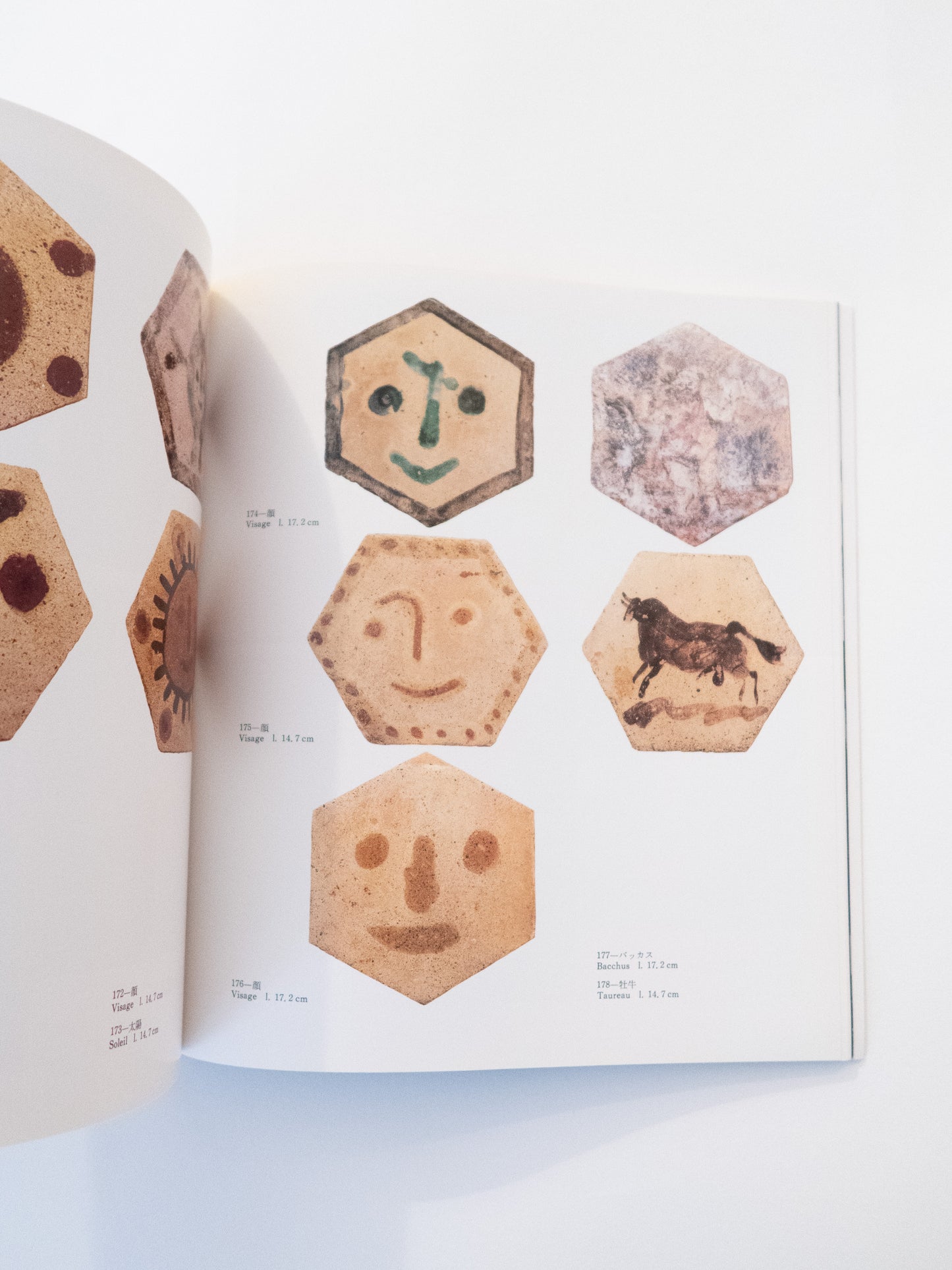 Picasso Ceramic - Fuji Television Gallery, 1981